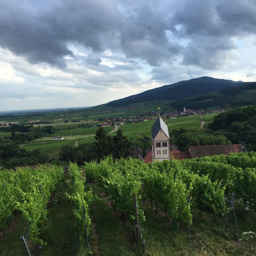 Gîte FLEUR DE VIGNES Itterswiller Exterior foto
