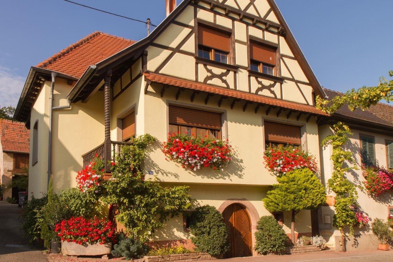 Gîte FLEUR DE VIGNES Itterswiller Exterior foto